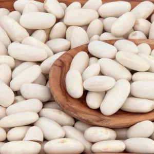 Квасоля на продаж 20 сортів