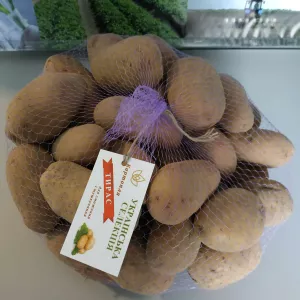 Картопля продовольча