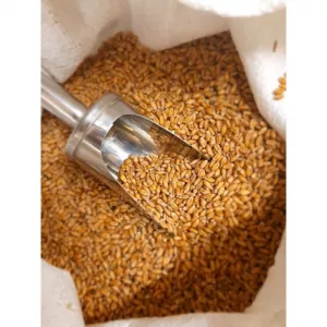 Куплю зернові відходи, некондицію.