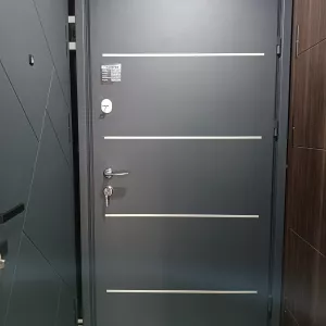 Вуличні вхідні двері