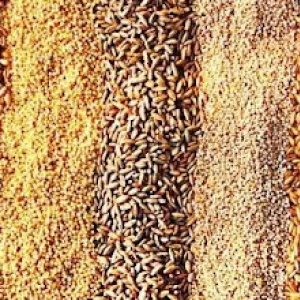 Закуповуємо зерно.