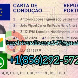 Buy Portugal Drivers Licence online,  Buy Driver’s License Online