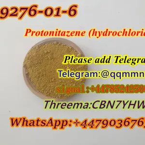 spot supplies CAS 119276-01-6 Protonitazene (hydrochloride)