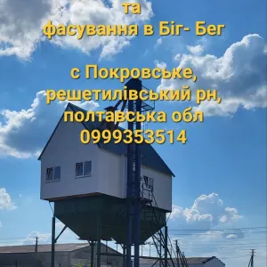 Послуги зі зберігання, перевалки, очищення, фасування зерна.