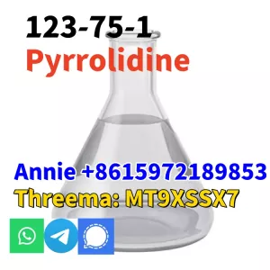 good quality Pyrrolidine CAS 123-75-1 factory supply with low price and fast shipping
