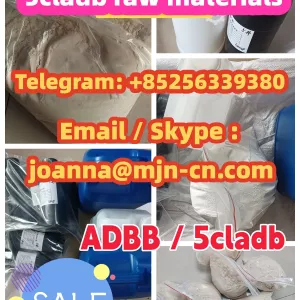 5cladb precursor raw materials ADB-butinaca Telegram: +85256339380