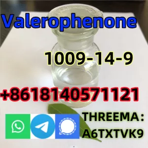 99% purity Valerophenone Cas 1009-14-9 factory price warehouse Europe
