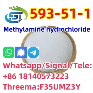 CAS 593-51-1 Methylamine hydrochloride LT-S9151 good price with high qualtiy