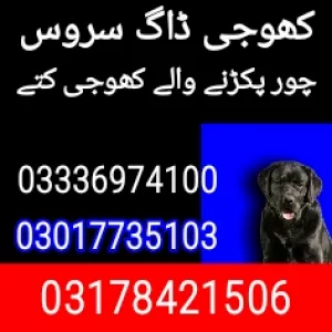 Army dog center gujranwala 03017735103
