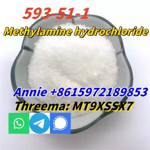 CAS 593-51-1 Methylamine hydrochloride LT-S9151 good price with high qualtiy