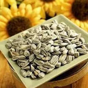 Куплю подсолнечник некондиционный Украина.