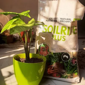 Indoor Gardening Products | Best Soilless Potting Mix