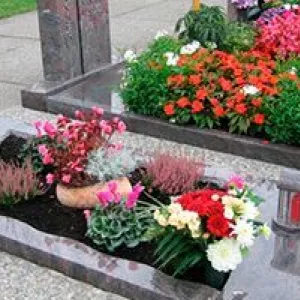 Приведу до ладу могилки ваших рідних в Києві