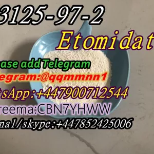 CAS 33125-97-2 etomidate