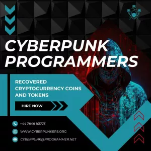 REDEEM YOURSELF AFTER CRYPTO SCAM WITH CYBERPUNK PROGRAMMERS