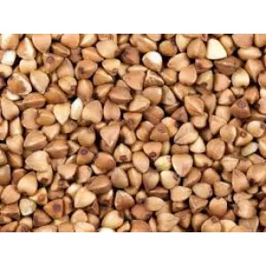 Продаж гречихи (зерно гречки) опт