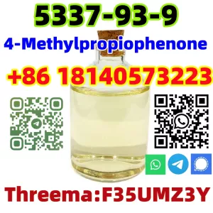 Cas 5337-93-9 4-Methylpropiophenone P-METHYLPROPIOPHENONE BMK