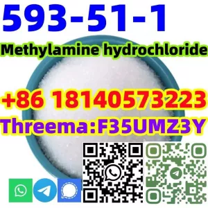 CAS 593-51-1 Methylamine hydrochloride LT-S9151 good price with high qualtiy