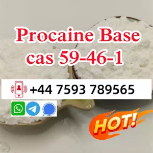 cas 59-46-1 Procaine powder factory wholesale price