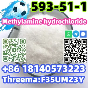 Buy Hot sale CAS 593-51-1 Methylamine hydrochloride with Safe Delivery
