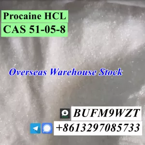 Signal@cielxia.18 Warehouse delivery CAS 51-05-8 Procaine HCL