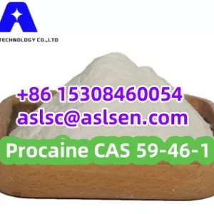 Procaine Powder CAS 59-46-1 Local Anesthesia with Stock APIs