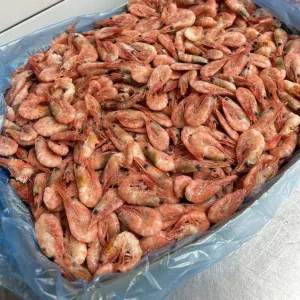 Креветки северные 250+ коробка 5кг