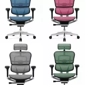 Кресло компьютерное Ergohuman Luxury 2