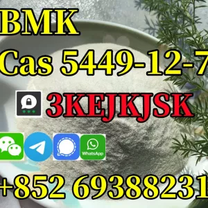 BMK Glycidic Acid (sodium salt) Cas 5449-12-7 China factory supply