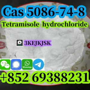 quality guaranteed Tetramisole hydrochloride powder Cas 5086-74-8 best service