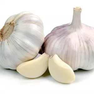 Часник домашній 2025