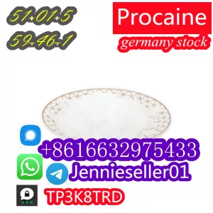 59-46-1 Procaine hcl cas 51-05-8 china factory direct sale.