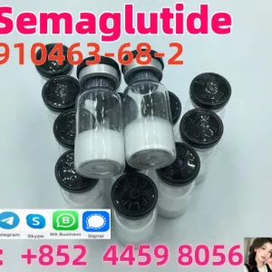 Fast Shipping CAS 910463-68-2 Semaglutide Manufacture