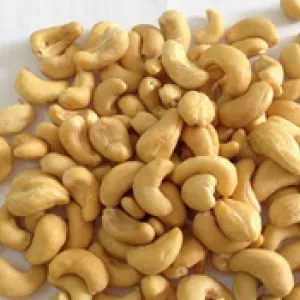 Selling Vietnamese Cashew Nut Kernels SW320, LBW240