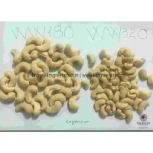 Cashew Nut Kernels WW180, WW210