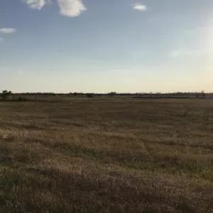 Земельный участок сельхозназначения 56 Га