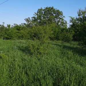 Земельный участок сельхозназначения 118 Га.