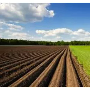 продам земельный пай