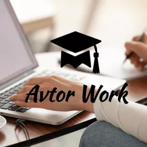 Автор Дипломних Робіт
