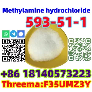 Europe warehouse CAS 593-51-1 Methylamine hydrochloride with low price