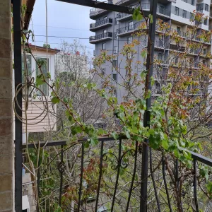 Квартира на пер.Клубничный