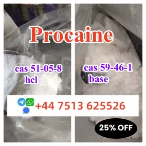 cas 59-46-1 Procaine base powder Procaine Hcl safe ship to Holland Poland