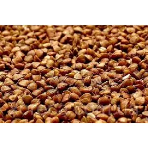 Продаж гречки, гречихи оптом