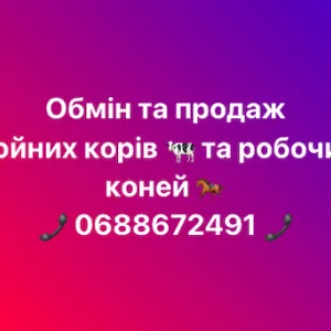 Обмін та продаж дойних корів, робочих коней