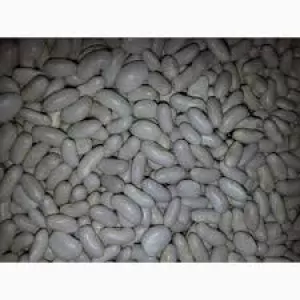 Купуємо білу квасолю на переробку оптом