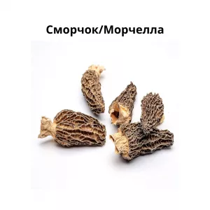 Сморчок конический | Морчелла