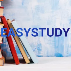 Замовити докторську дисертацію Easystudy