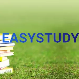 Автор курсових робіт