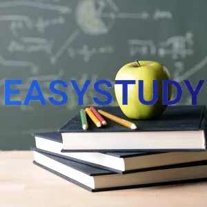 Заказать магистерскую работу