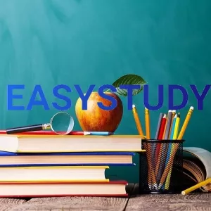 Заказать отчет по практике